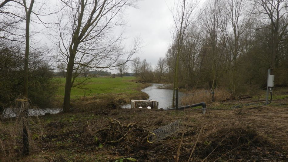 2020-01-05 07 Waveney Crotch.jpg