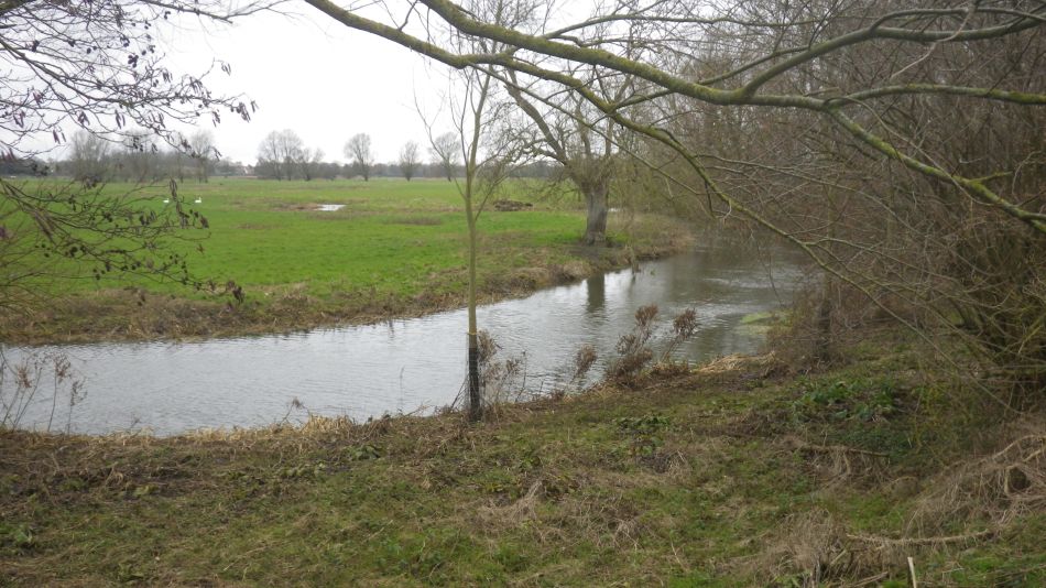 2020-01-05 08 Waveney Crotch.jpg