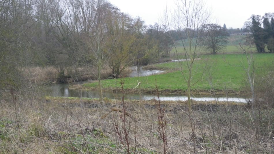 2020-01-05 09 Waveney Crotch.jpg