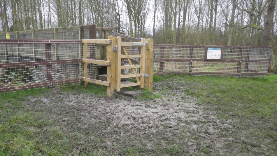 2020-01-05 11 Muddy Access.jpg