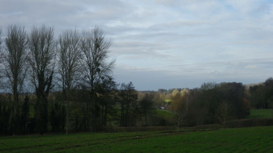 2020-01-05 17 Scole and Billingford.jpg