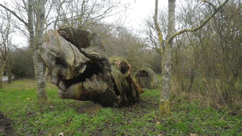 2020-01-05 26 Scole and Billingford.jpg