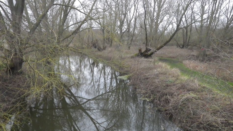 2020-01-05 27 Scole and Billingford.jpg