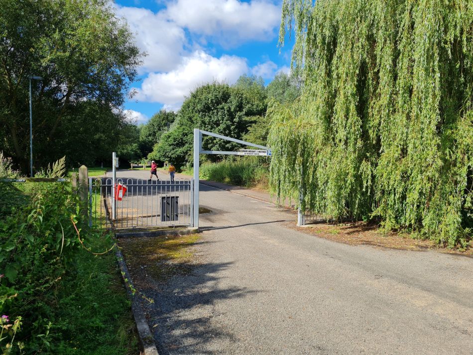 2021-07-29 01 Diss.jpg