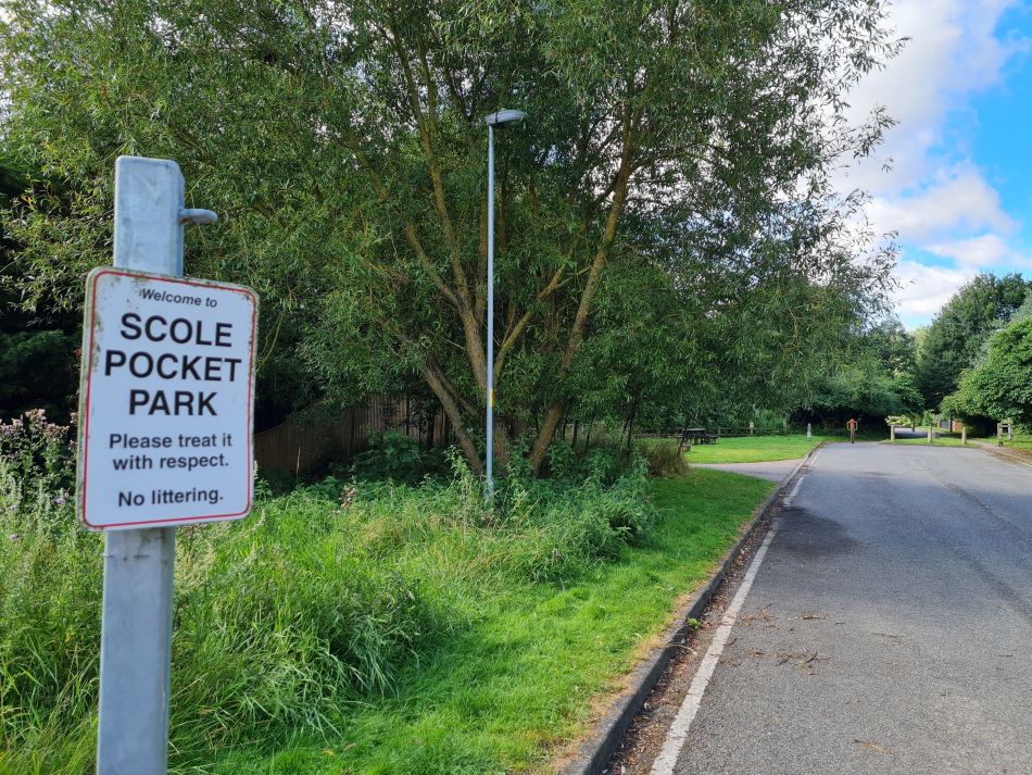 2021-07-29 02 Diss.jpg