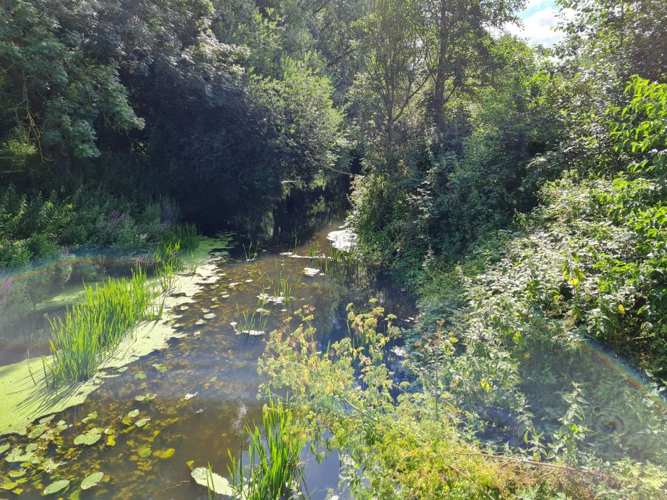 2021-07-29 04 Diss.jpg