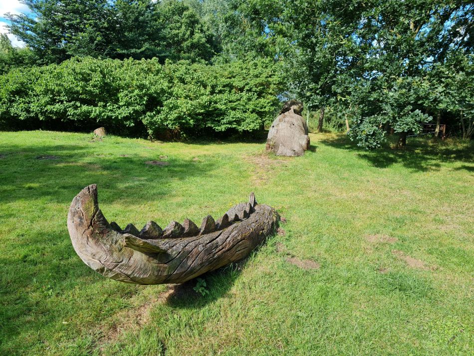 2021-07-29 05 Diss.jpg