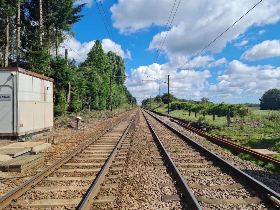 2021-07-29 06 Diss.jpg