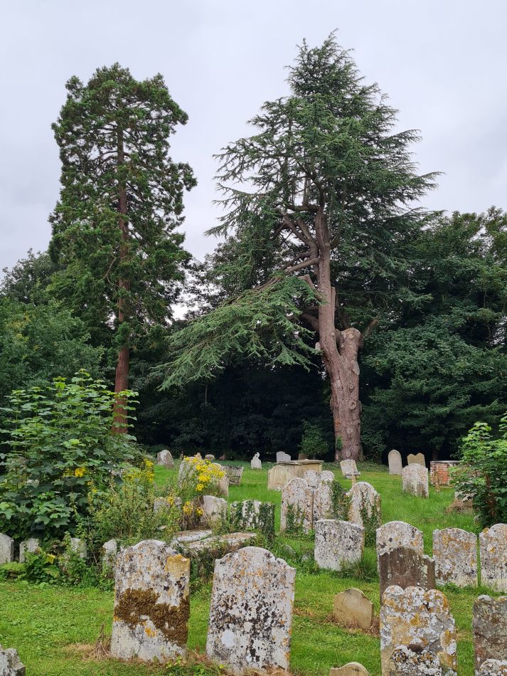 2021-08-12 08 Scole and Billingford.jpg