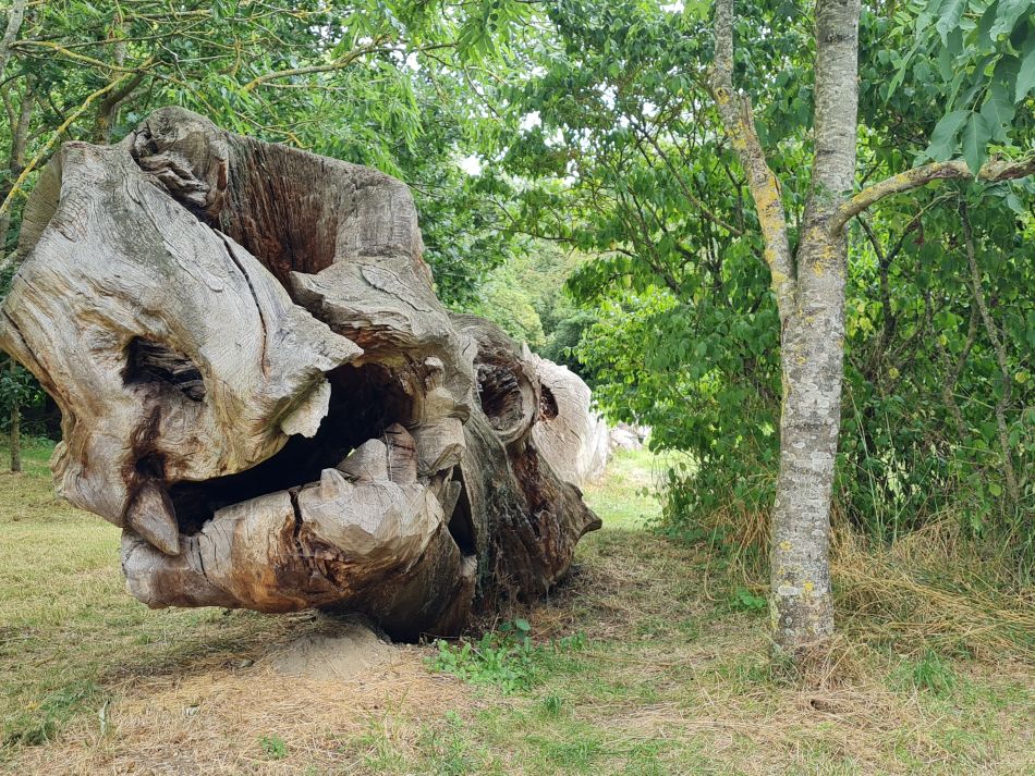 2021-08-12 29 Scole and Billingford.jpg