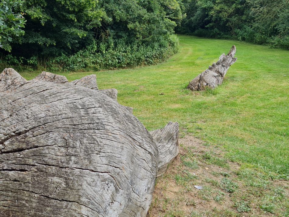 2021-08-12 30 Scole and Billingford.jpg