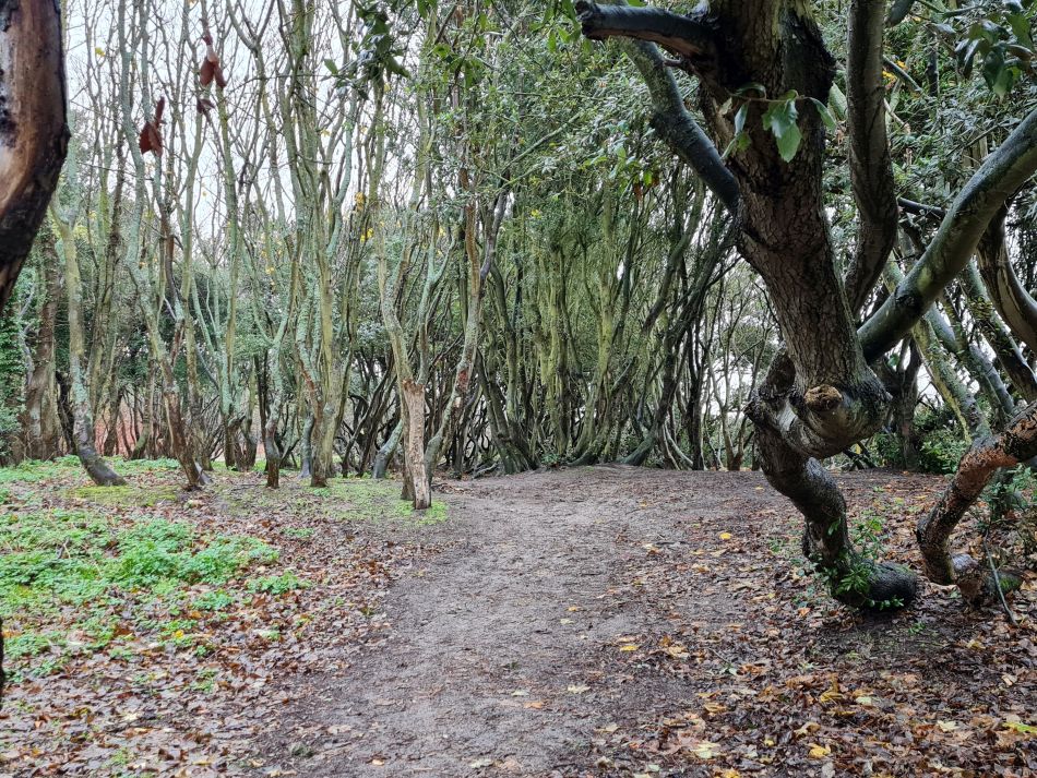 2020-10-20 02 Corton and Hopton.jpg