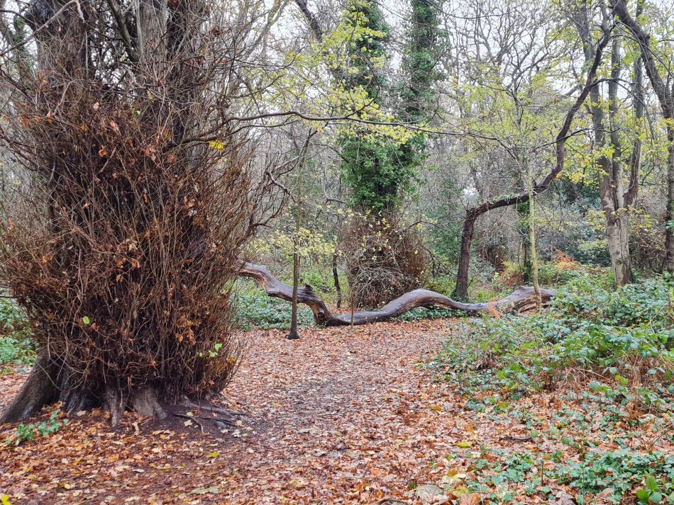 2020-10-20 11 Corton and Hopton.jpg