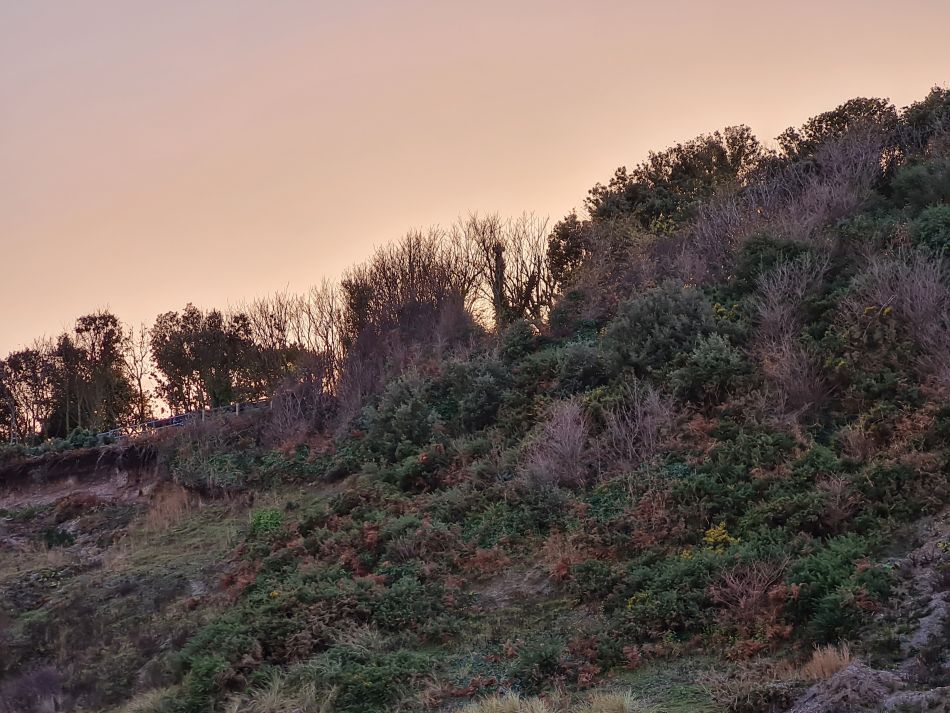 2020-10-20 36 Corton and Hopton.jpg