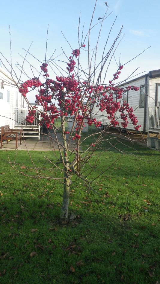 2016-12-14 05 Thorpeness and Sizewell.jpg