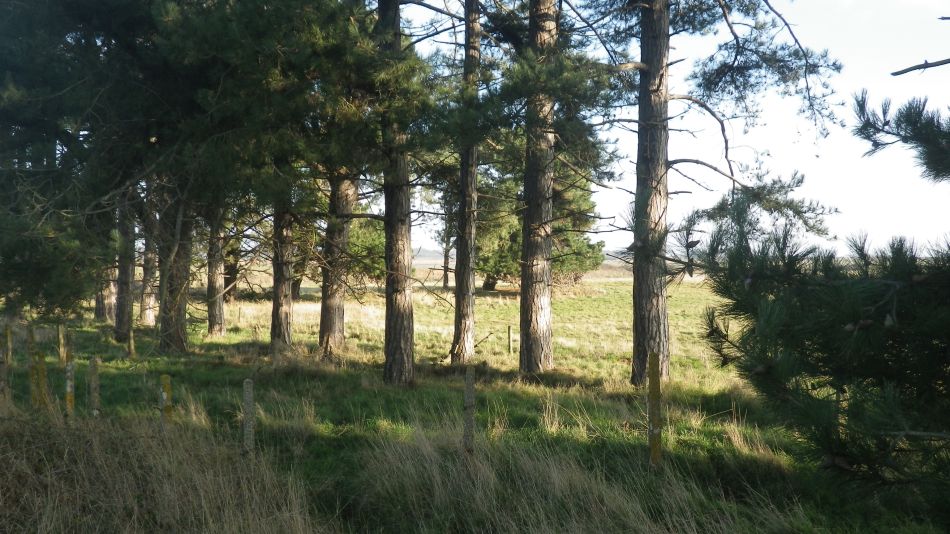 2016-12-14 08 Thorpeness and Sizewell.jpg