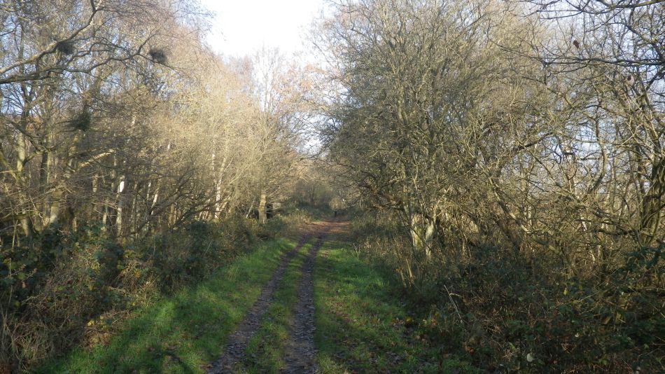 2016-12-14 10 Thorpeness and Sizewell.jpg