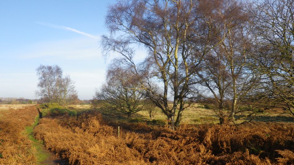 2016-12-14 11 Thorpeness and Sizewell.jpg