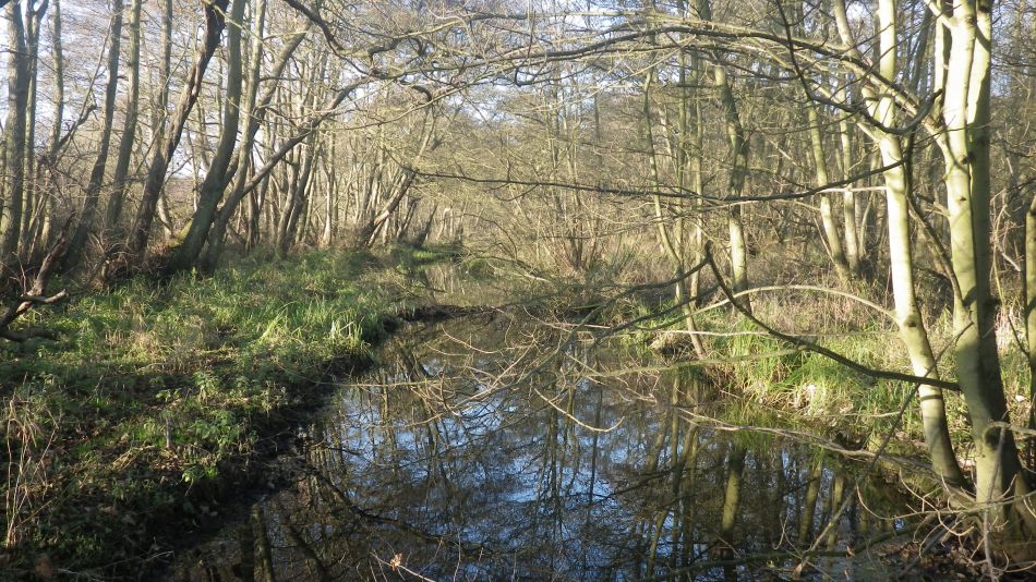 2016-12-14 17 Thorpeness and Sizewell.jpg