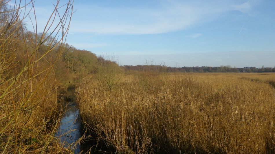 2016-12-14 19 Thorpeness and Sizewell.jpg