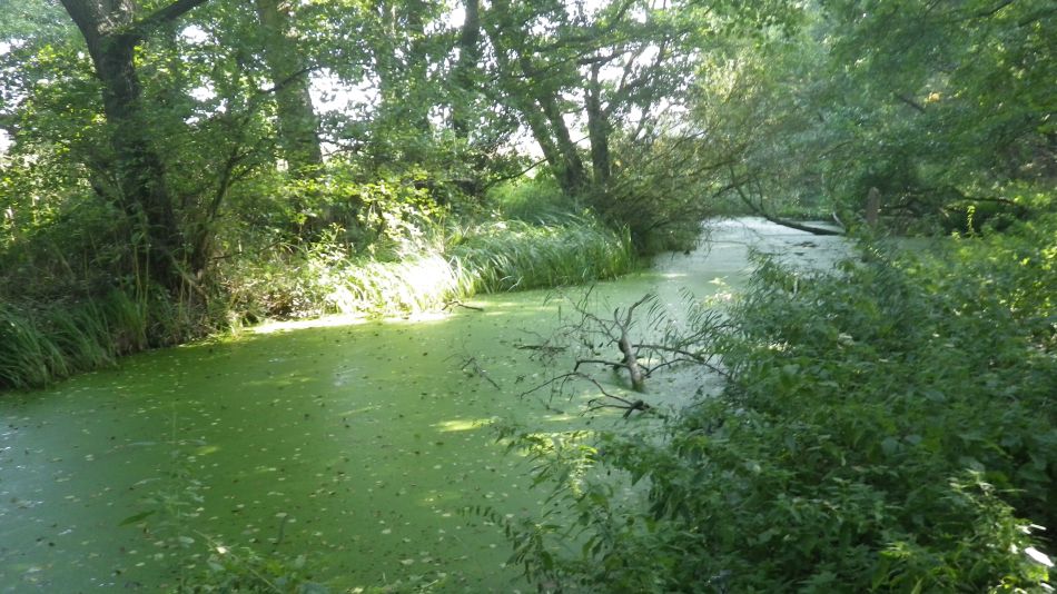 2017-09-24 13 Thorpness and Sizewell.jpg