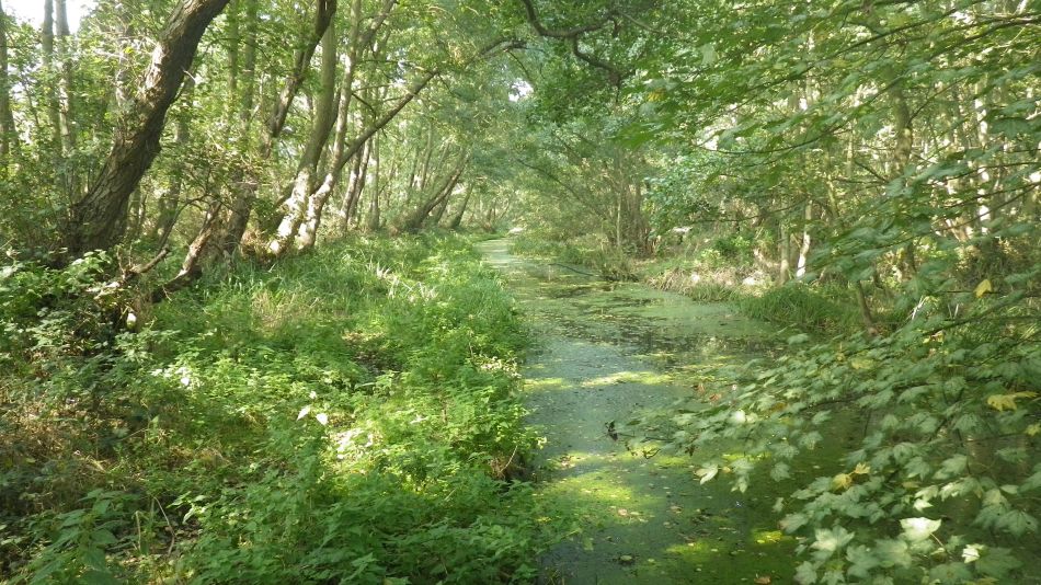 2017-09-24 14 Thorpness and Sizewell.jpg
