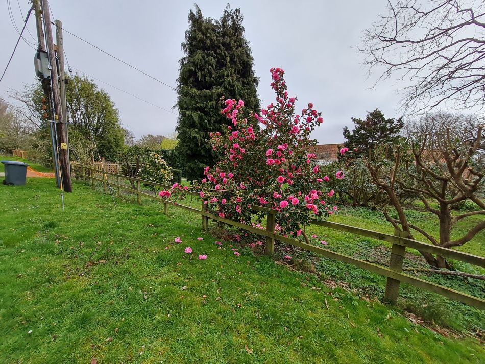 2020-10-10 05 Aldeburgh and Thorpeness.jpg