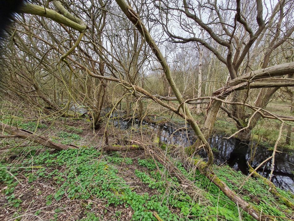 2020-10-10 06 Aldeburgh and Thorpeness.jpg