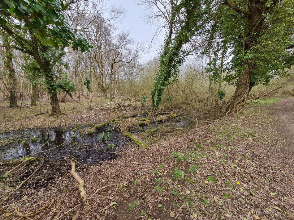 2020-10-10 07 Aldeburgh and Thorpeness.jpg
