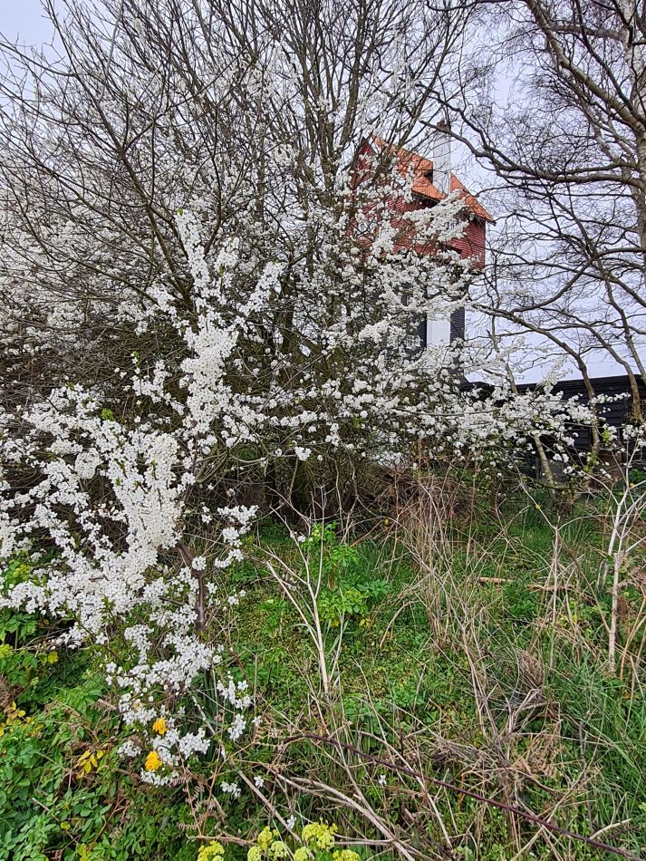 2020-10-10 11 Aldeburgh and Thorpeness.jpg