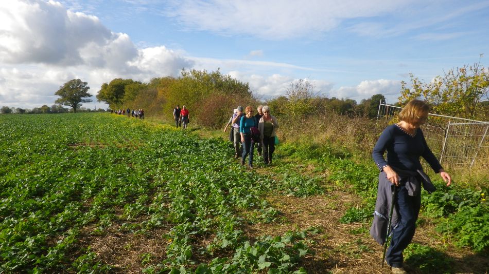 2017-10-25 08 Kessingland Area.jpg