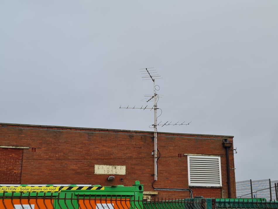 2024-04-03 13 Pipistrelle Bat Tracking.jpg