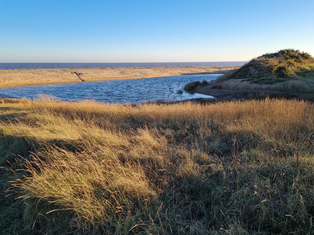 2025-02-02 06 Kessinglandl.jpg