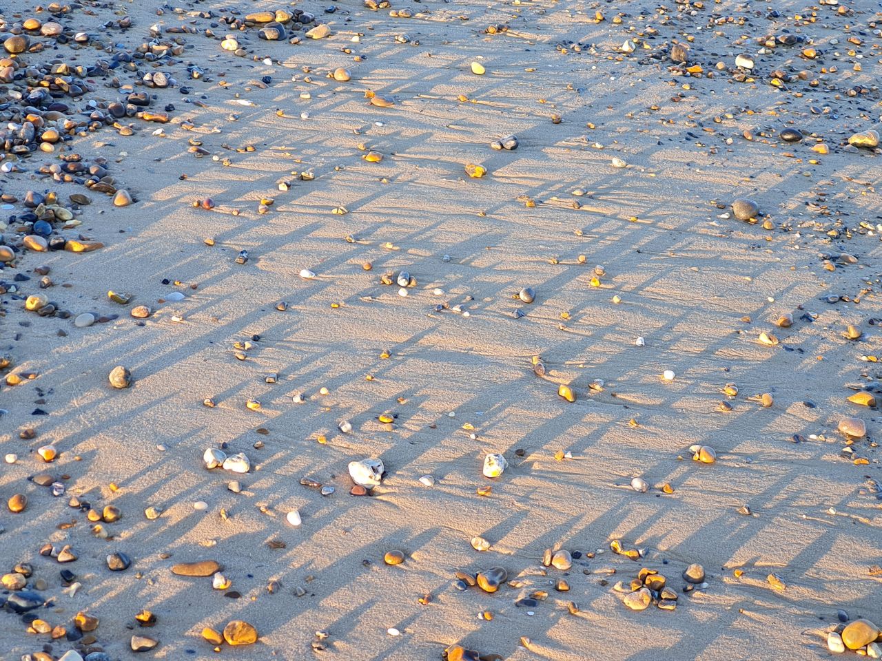 2025-02-02 11 Kessinglandl.jpg