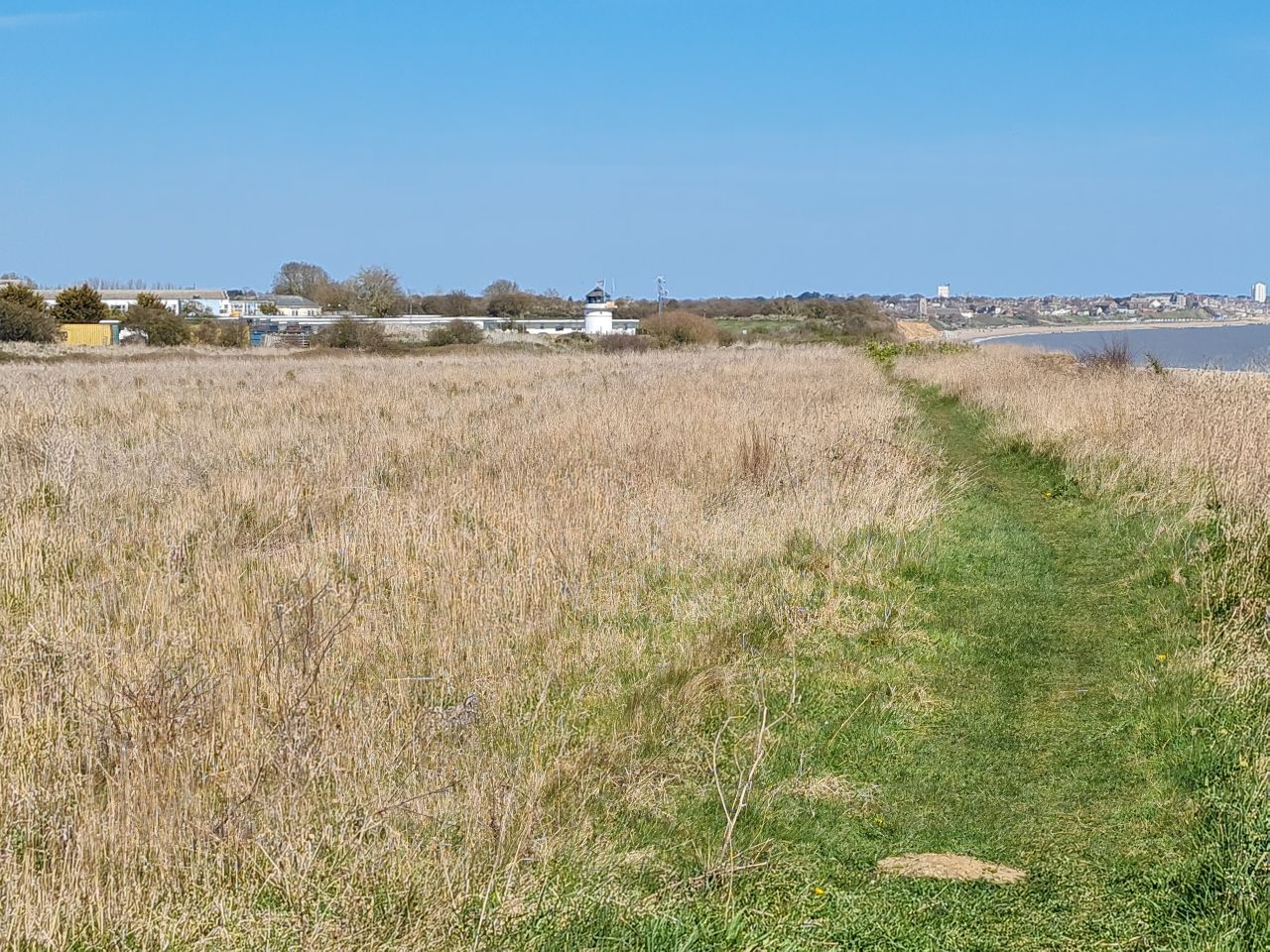 2025-04-08 04 Pakefield Coastwatch.jpg