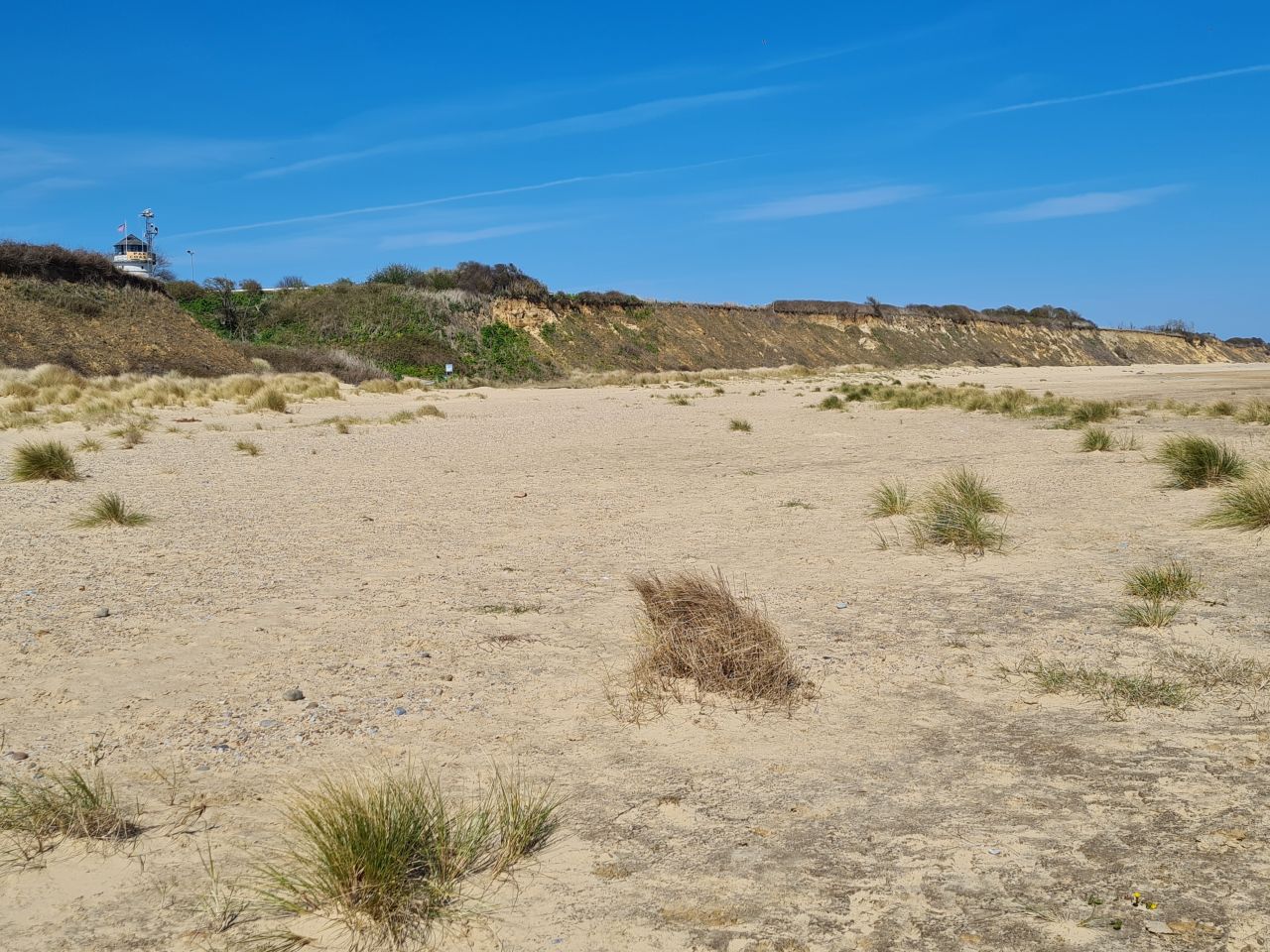 2025-04-08 13 Pakefield Coastwatch.jpg