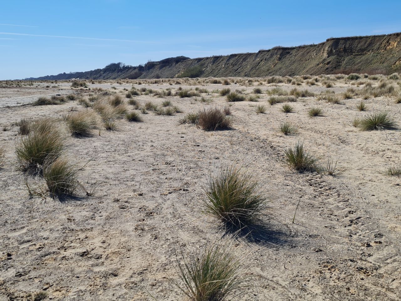 2025-04-08 14 Pakefield Pontins.jpg