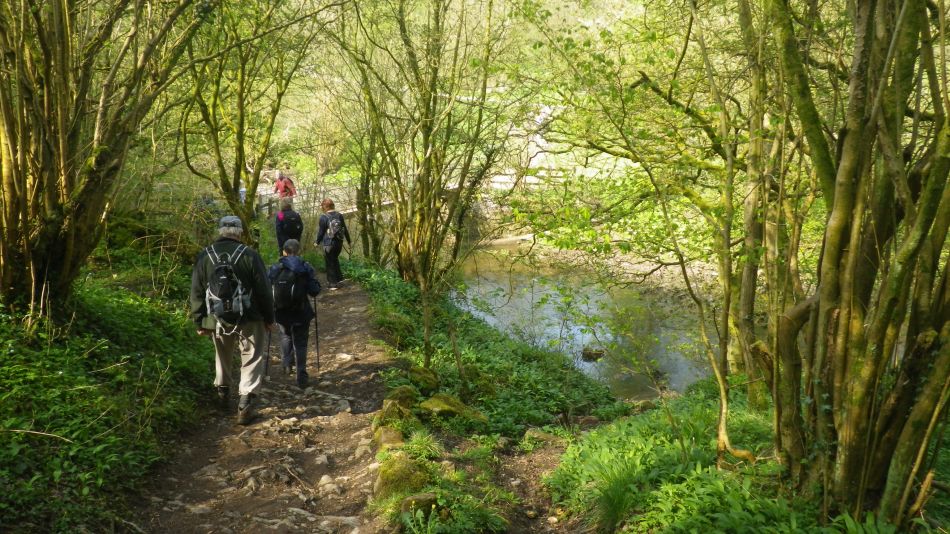 2019-04-30 12 Manifold Way.jpg