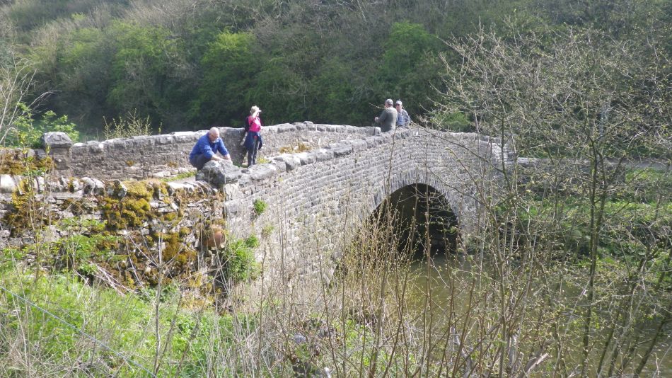 2019-04-30 20 Manifold Way.jpg