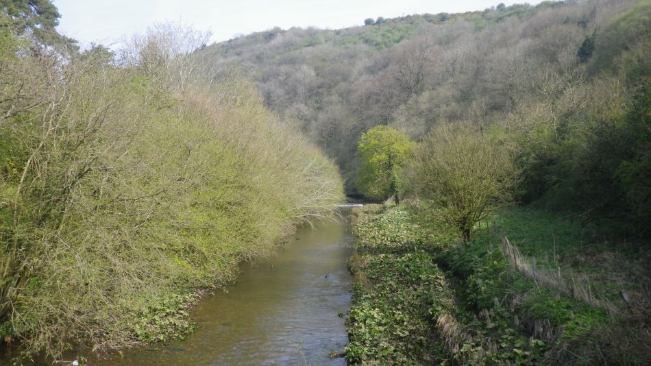 2019-04-30 21 Manifold Way.jpg