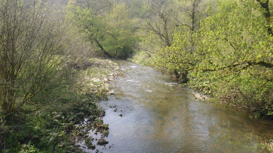 2019-04-30 22 Manifold Way.jpg