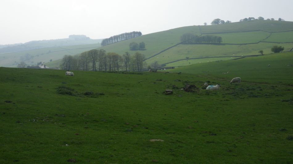 2019-04-30 25 Wetton Manifold Ilam.jpg