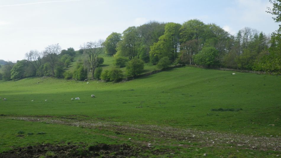 2019-04-30 27 Wetton Manifold Ilam.jpg