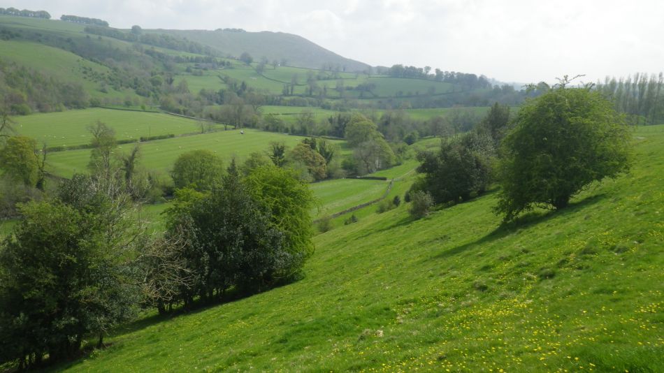 2019-04-30 41 Wetton Manifold Ilam.jpg