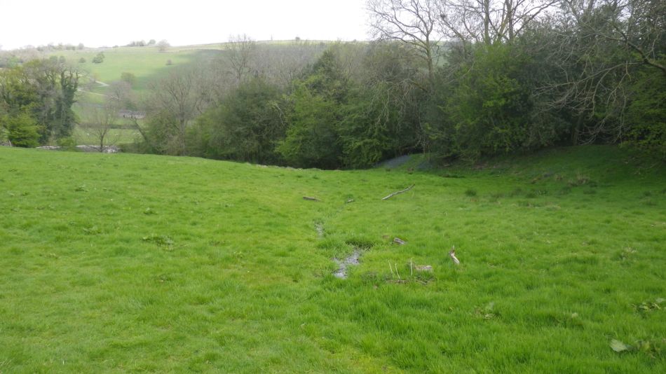 2019-04-30 45 Spring.jpg