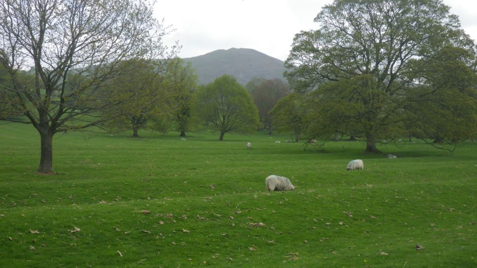 2019-04-30 49 Wetton Manifold Ilam.jpg