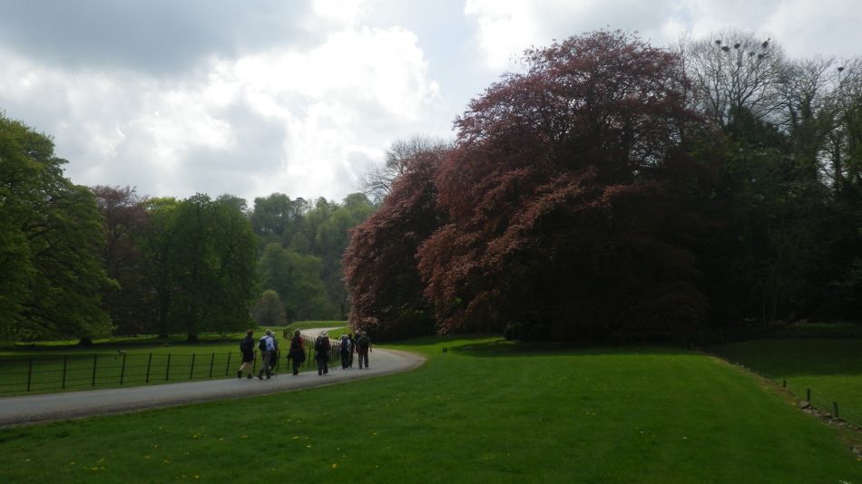 2019-04-30 52 Wetton Manifold Ilam.jpg