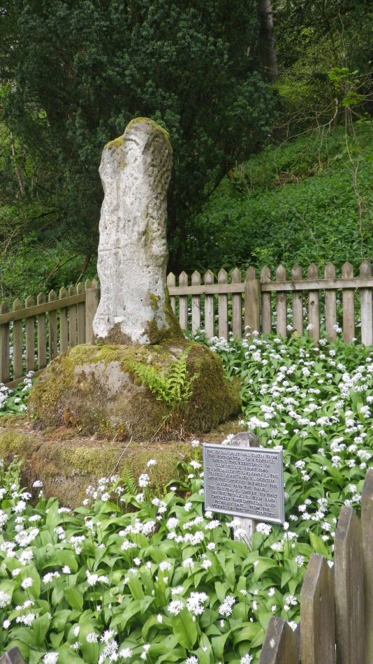 2019-04-30 61 Wild Garlic.jpg