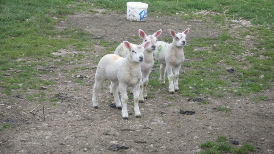 2019-04-30 73 Wetton Manifold Ilam.jpg