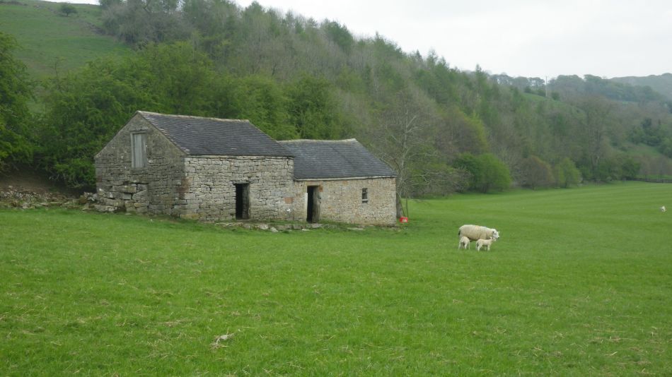 2019-04-30 74 Wetton Manifold Ilam.jpg